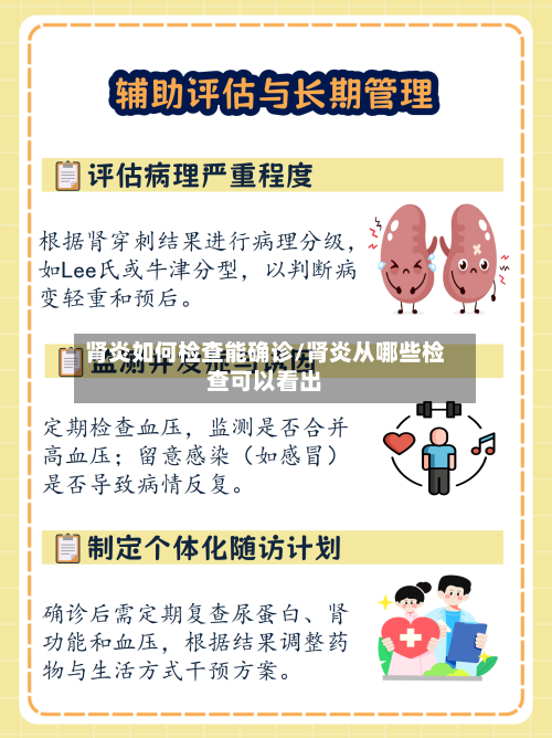 肾炎如何检查能确诊/肾炎从哪些检查可以看出