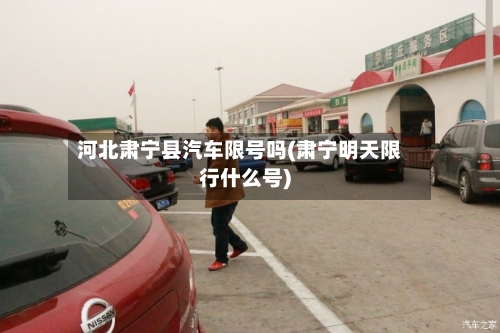 河北肃宁县汽车限号吗(肃宁明天限行什么号)