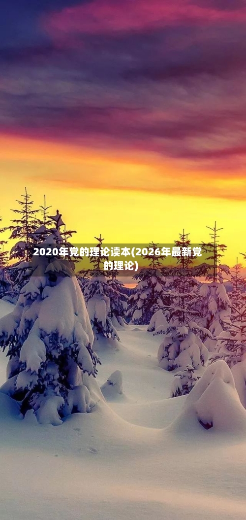 2020年党的理论读本(2026年最新党的理论)