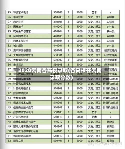 2020云南各高校录取(各高校在云南录取分数)