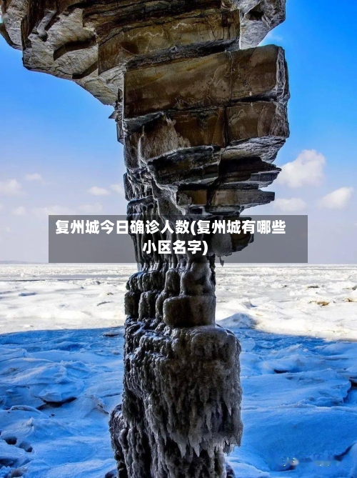 复州城今日确诊人数(复州城有哪些小区名字)