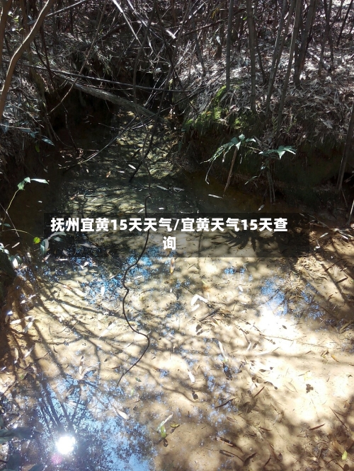 抚州宜黄15天天气/宜黄天气15天查询