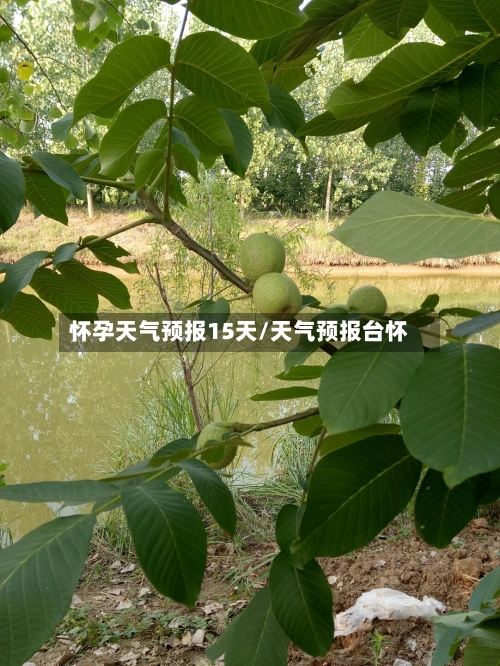 怀孕天气预报15天/天气预报台怀