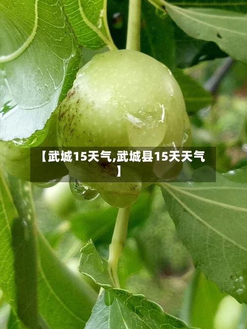 【武城15天气,武城县15天天气】
