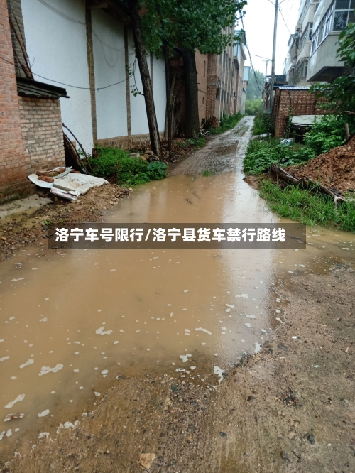 洛宁车号限行/洛宁县货车禁行路线