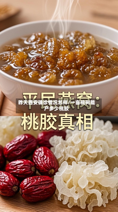 昨天西安确诊情况怎样/一亩桃树能产多少桃胶