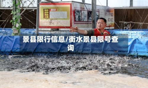 景县限行信息/衡水景县限号查询