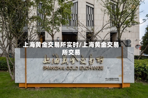 上海黄金交易所实时/上海黄金交易所交易