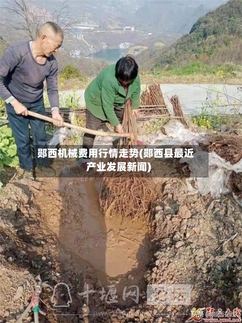 郧西机械费用行情走势(郧西县最近产业发展新闻)