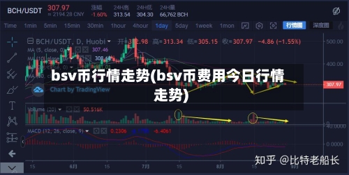 bsv币行情走势(bsv币费用今日行情走势)