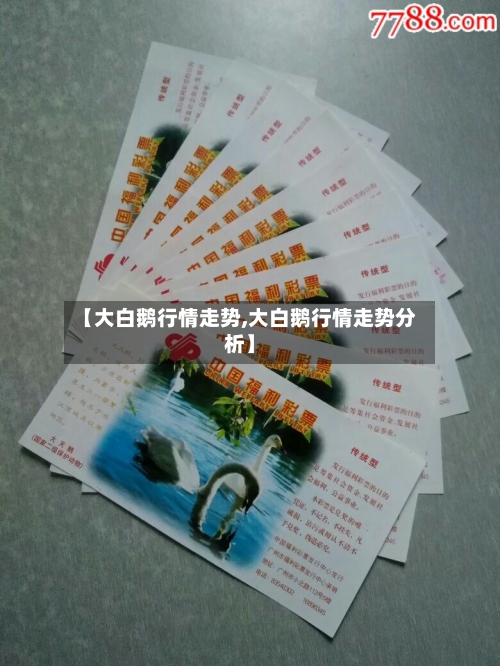 【大白鹅行情走势,大白鹅行情走势分析】