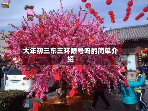 大年初三东三环限号吗的简单介绍