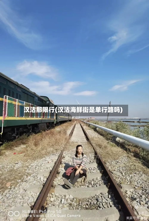 汉沽那限行(汉沽海鲜街是单行路吗)
