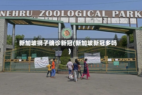 新加坡狮子确诊新冠(新加坡新冠多吗)