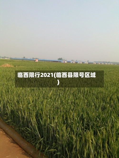 临西限行2021(临西县限号区域)