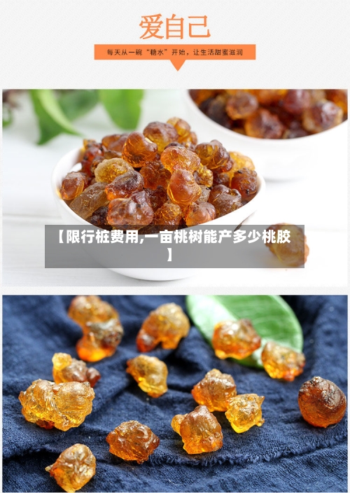 【限行桩费用,一亩桃树能产多少桃胶】