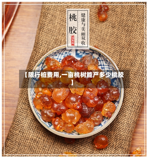 【限行桩费用,一亩桃树能产多少桃胶】