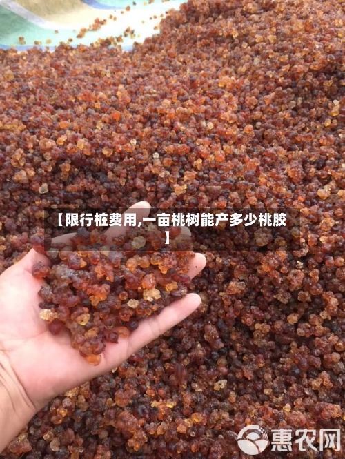【限行桩费用,一亩桃树能产多少桃胶】