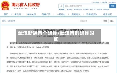 武汉新冠首个确诊/武汉首例确诊时间