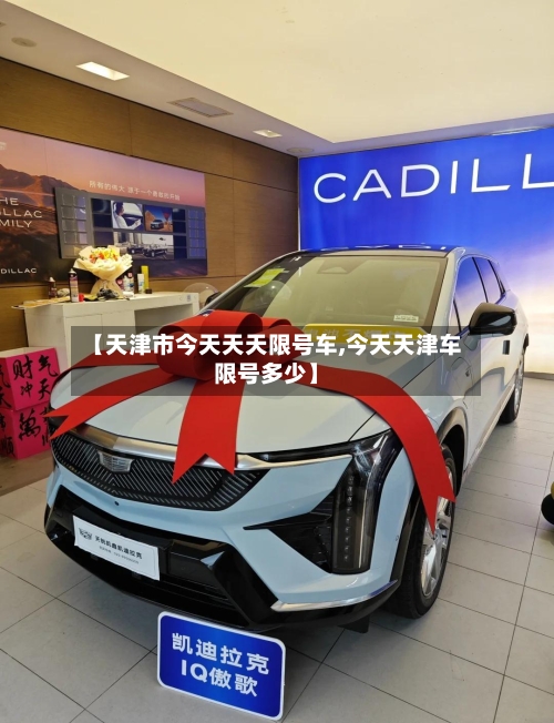 【天津市今天天天限号车,今天天津车限号多少】