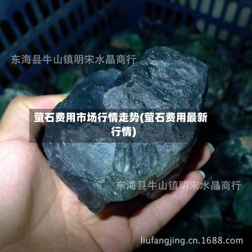 萤石费用市场行情走势(萤石费用最新行情)