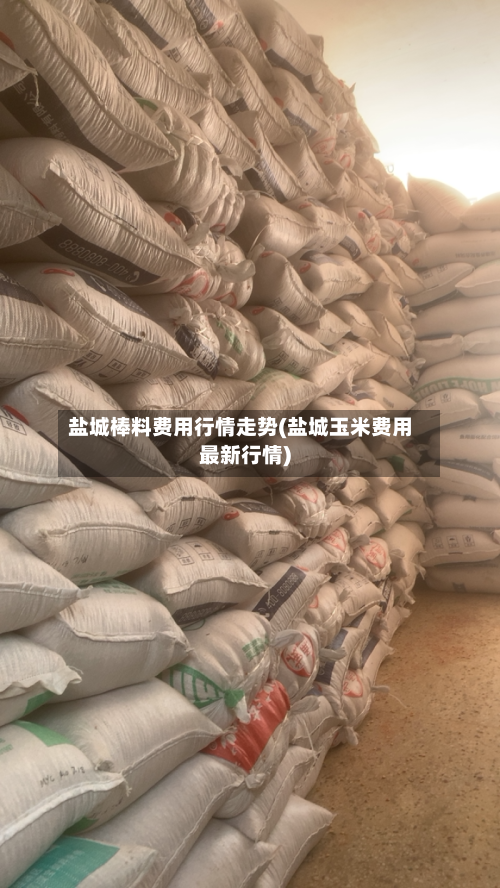 盐城棒料费用行情走势(盐城玉米费用最新行情)