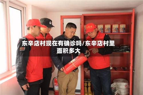 东辛店村现在有确诊吗/东辛店村里面积多大
