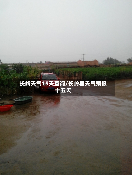 长岭天气15天查询/长岭县天气预报十五天