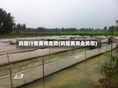蚂蝗行情费用走势(蚂蝗费用走势图)
