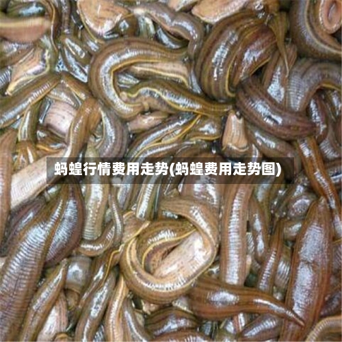 蚂蝗行情费用走势(蚂蝗费用走势图)