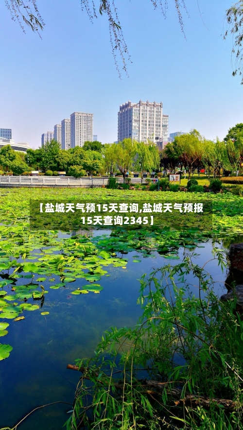 【盐城天气预15天查询,盐城天气预报15天查询2345】