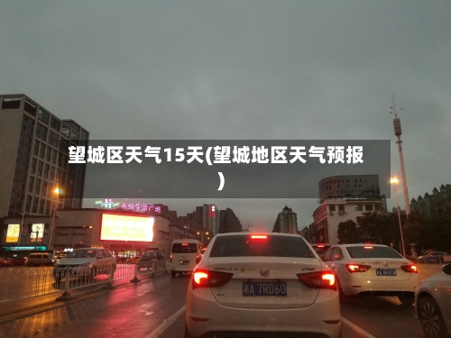 望城区天气15天(望城地区天气预报)