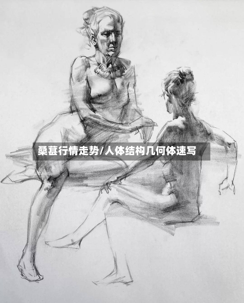 桑葚行情走势/人体结构几何体速写