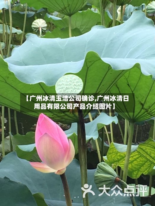 【广州冰清玉洁公司确诊,广州冰清日用品有限公司产品介绍图片】