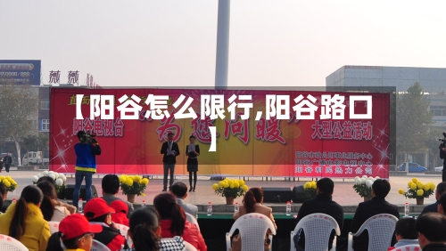 【阳谷怎么限行,阳谷路口】