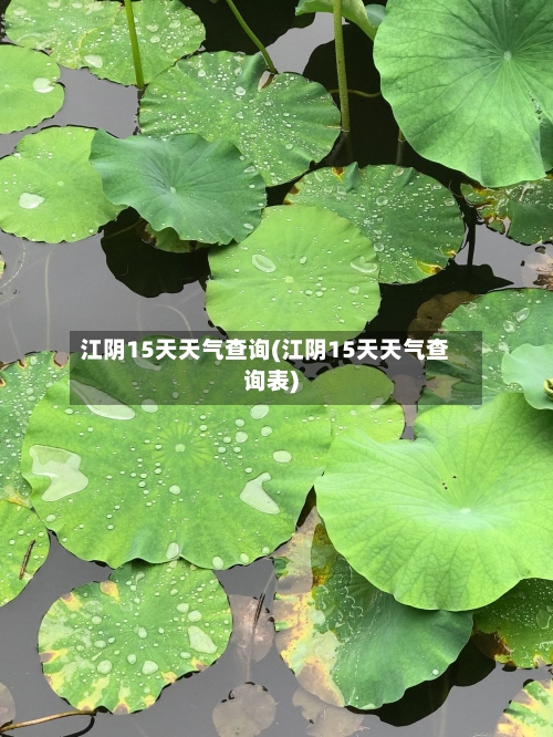 江阴15天天气查询(江阴15天天气查询表)