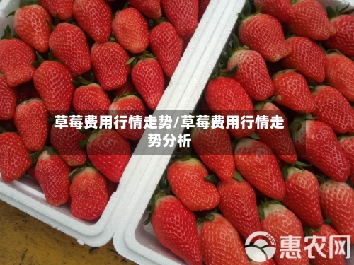 草莓费用行情走势/草莓费用行情走势分析