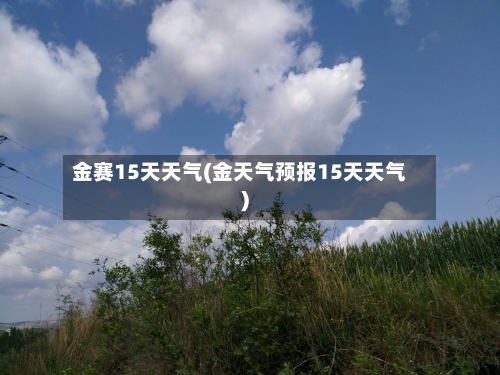 金赛15天天气(金天气预报15天天气)