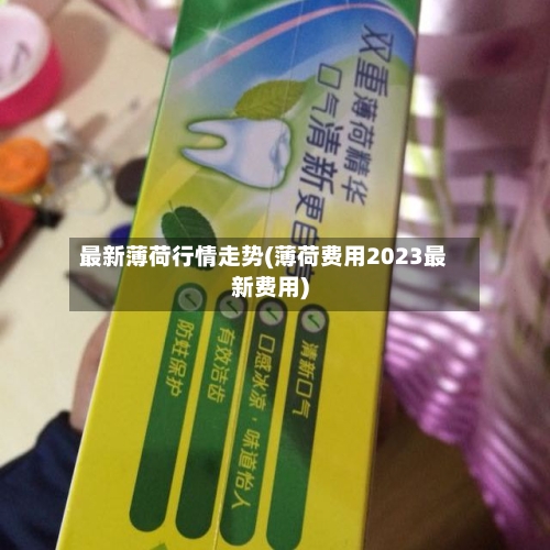 最新薄荷行情走势(薄荷费用2023最新费用)