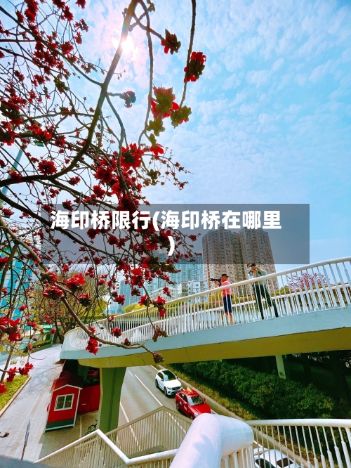 海印桥限行(海印桥在哪里)