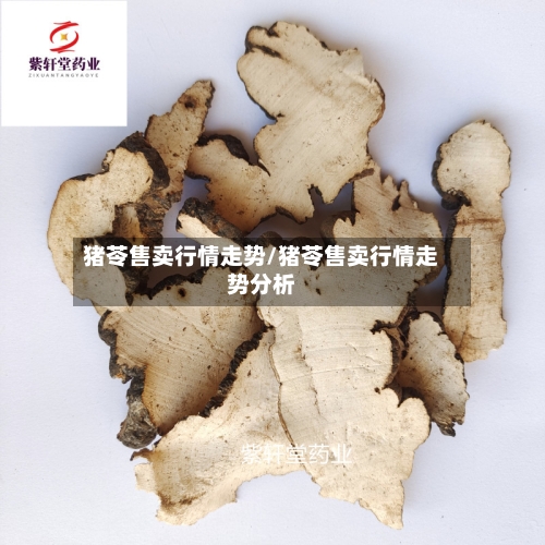 猪苓售卖行情走势/猪苓售卖行情走势分析