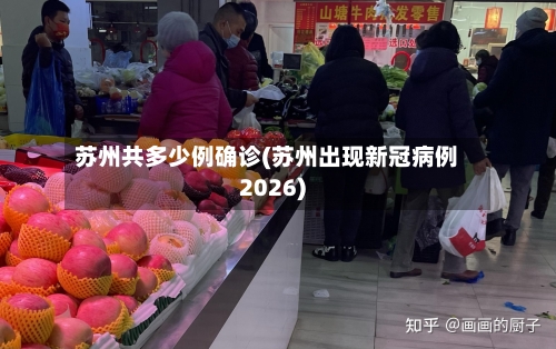 苏州共多少例确诊(苏州出现新冠病例2026)
