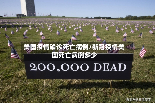 美国疫情确诊死亡病例/新冠疫情美国死亡病例多少