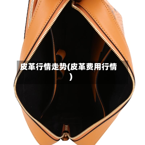皮革行情走势(皮革费用行情)