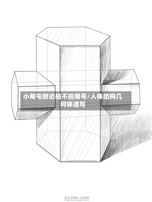 小甸屯附近拍不拍限号/人体结构几何体速写