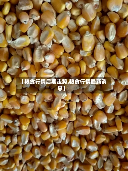 【粮食行情后期走势,粮食行情最新消息】