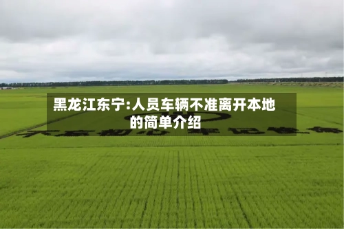 黑龙江东宁:人员车辆不准离开本地的简单介绍