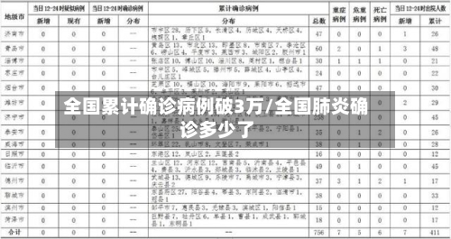 全国累计确诊病例破3万/全国肺炎确诊多少了