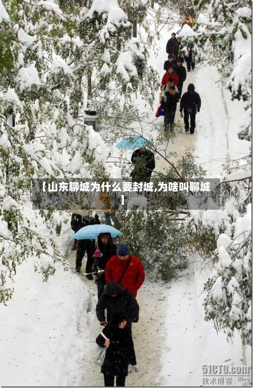 【山东聊城为什么要封城,为啥叫聊城】