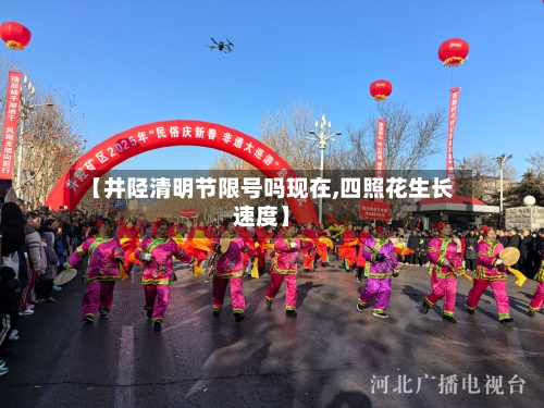 【井陉清明节限号吗现在,四照花生长速度】